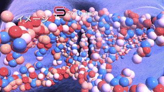 遺伝子と染色体