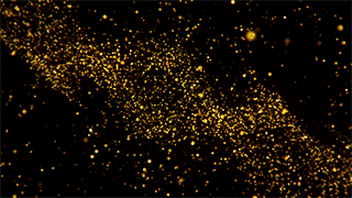 がん遺伝子治療の実際