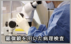 顕微鏡での病理細胞診
