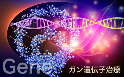 遺伝子治療方法・手順（プロトコール）