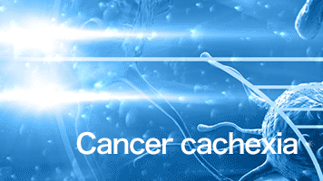 がん悪液質（あくえきしつ）